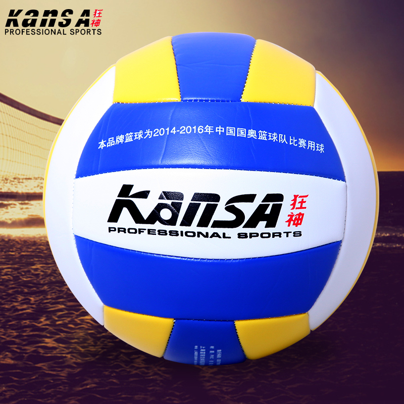 Ballon de volley - Ref 2009637 Image 1