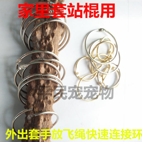 鹦鹉不锈钢鸟类平民宠宠物