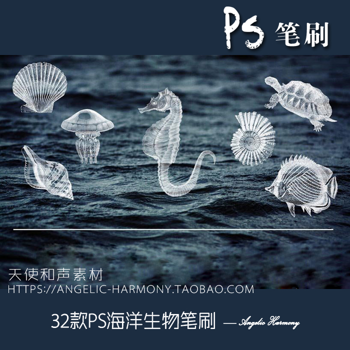 海洋海底生物海马贝壳热带鱼类剪影素材 PS笔触笔刷 平面设计177