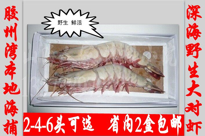 精选大对虾 礼品虾 野生海捕对虾 速冻礼盒包装 2-4-6头可选 包邮