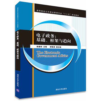 正版现货：电子政务：基础、框架与趋向（高等院校公共事业管理专