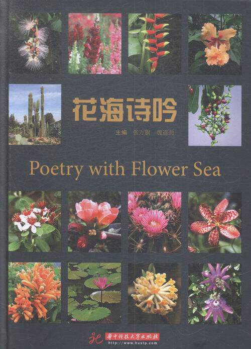 花海诗吟 书店 张万旗 中国古诗词书籍 书 畅想畅销书