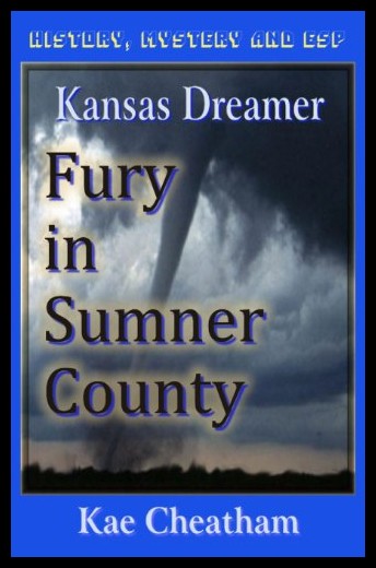【预售】kansas dreamer: fury in sumner county