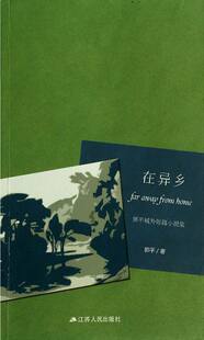 正版 在异乡：郭平域外短篇小说集 郭平 书店 中国书籍 书 畅想畅销书