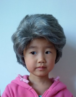 Perruque OTHER   cheveux courts - Ref 2608877 Image 1