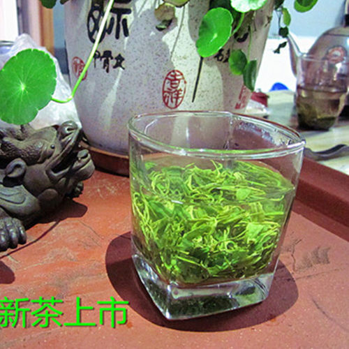 2026青岛特产早春浓豆香崂山绿茶