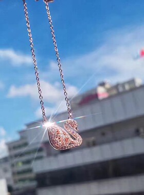 奥地利镂空七夕礼物黑天鹅项链