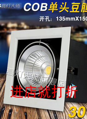 led斗胆灯30w25w20w方形单头豆胆灯cob射灯筒灯替换嵌入金卤灯