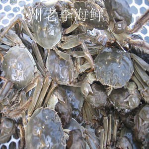 鲜活江苏大闸蟹 母蟹 非泡水蟹 一斤128元 一只3两到3.3两