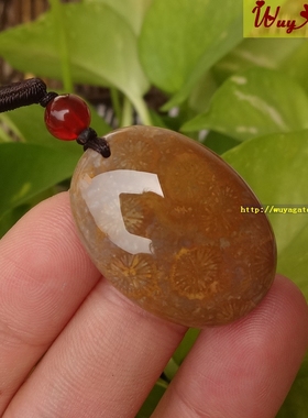 天然珊瑚玉满花玉化吊坠百搭复古