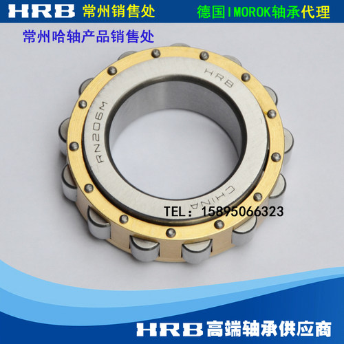 rn319m轴承哈尔滨china319e