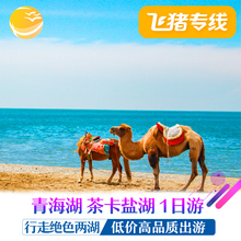 青海旅游西宁青海湖茶卡盐湖一日游纯玩跟团拼车含门票 飞猪专线
