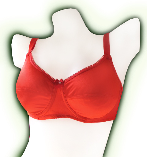 Pads pour soutien-gorge - Ref 825432 Image 40