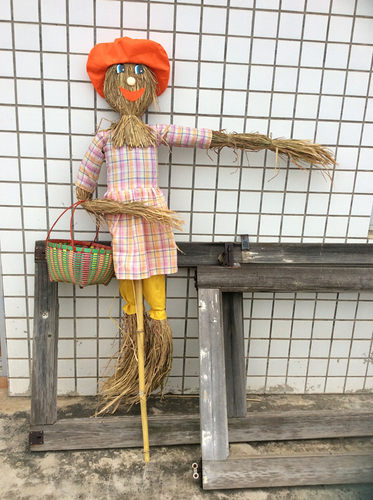 田园装饰外贸拍摄场景布置插件