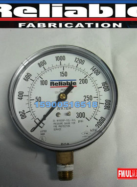 35-W1005P-02L-XUL 美国可靠湿式报警阀压力表 300Psi FM认证