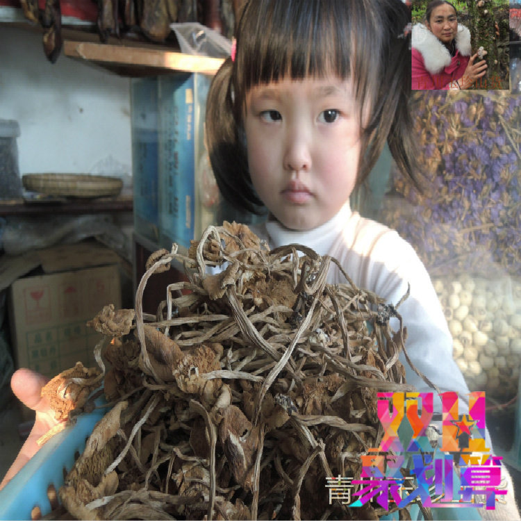 广元青川土特产 茶树菇200g/件 产地 散装  农家  干货