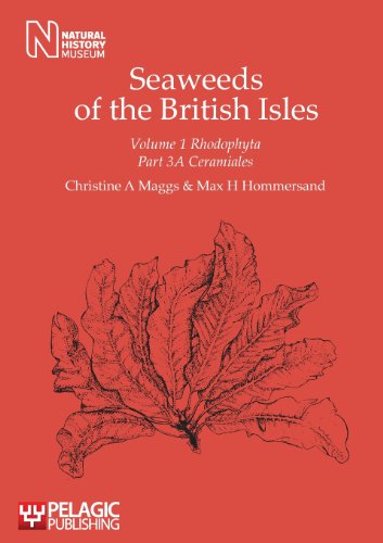 【预售】Seaweeds of the British Isles Volume 1 Rhodoph... 书籍/杂志/报纸 科普读物/自然科学/技术类原版书 原图主图