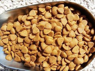 成犬幼犬粮散称金毛泰迪美毛补钙100G 狗粮散装 包邮