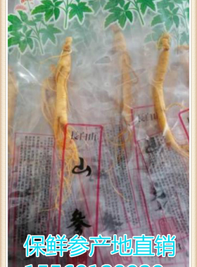 东北人参保鲜参长白山人参 酒瓶参 礼品参 小保鲜参农家自产