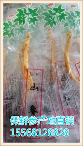 东北人参保鲜参长白山人参 酒瓶参 礼品参 小保鲜参农家自产