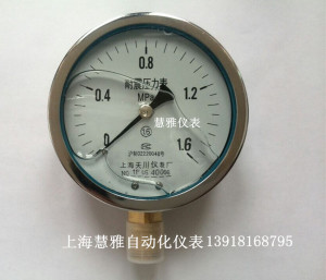 。YN100耐震压力表0-60MPA 油压表 液压表 防震压力表 上海天川仪
