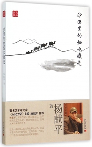 沙漠里的细水微光/有思文丛 正版书籍 木垛图书