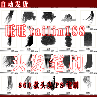 860款头发笔刷 PS笔刷 头发专用PS笔刷工具