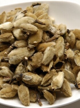 中药材花茶辛夷花 辛夷花茶 木笔花 望春花 紫玉兰