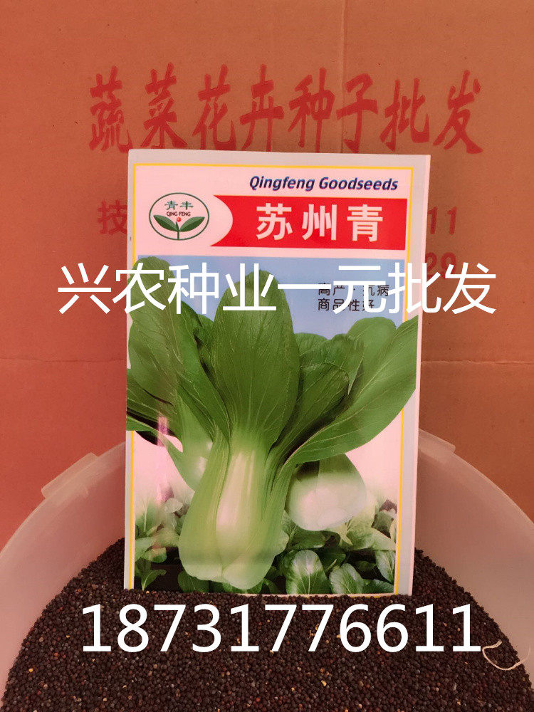 Suzhou Small rape seed Farm Vegetable garden High yield Vegetables Cabbage Potted plant Four seasons Vegetables seedin the Agricultural goods , Seed/Seedlings , Vegetable Seeds  category - from Buy2taobao.com to provide professional Taobao agent buy service
