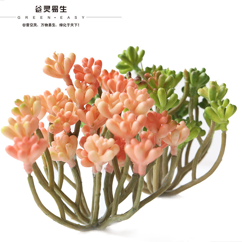 假多肉仿真多肉植物盆栽绿植田园清新石莲果假花家居酒店阳台装饰在类目 家居饰品, 花瓶/花器/仿真花/仿真饰品, 仿真花/假花中 - 来自Buy2taobao.com提供专业的淘宝代购服务
