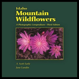 【预售】Idaho Mountain Wildflowers: A Photogra