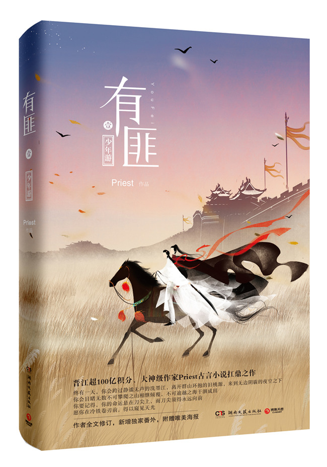 有匪1少年游版 湖南文艺出版社 爱情小说 书籍