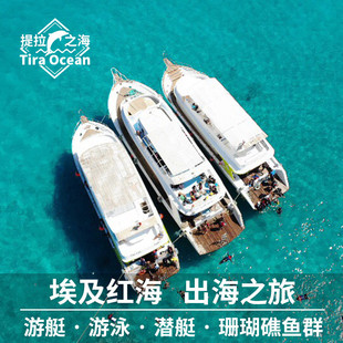 埃及红海出海红海潜水 可约中文服务游艇玻璃船珊瑚礁海豚橙湾岛