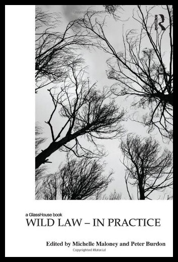 【预售】Wild Law: In Practice