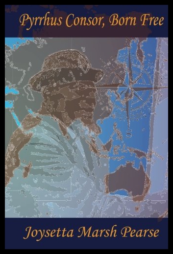 美国库房发货，通常付款后5-8周到货！