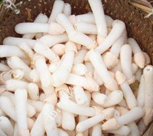 福建特级长裙竹荪干货天然无硫熏图片