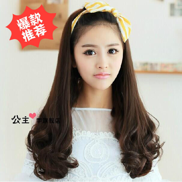 Perruque OTHER   Les cheveux longs - Ref 2609702 Image 1