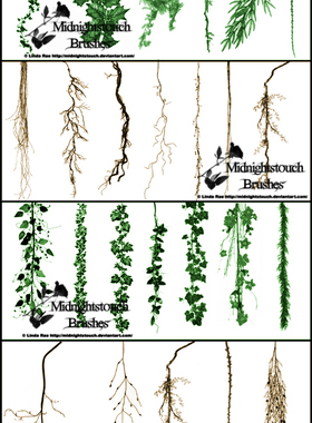 PS笔刷画笔笔触 爬山虎、藤蔓、牵牛花等植物ps笔刷素材