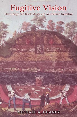 【预售】Fugitive Vision: Slave Image and Black Identity