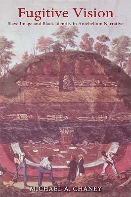 【预售】Fugitive Vision: Slave Image and Black Identity