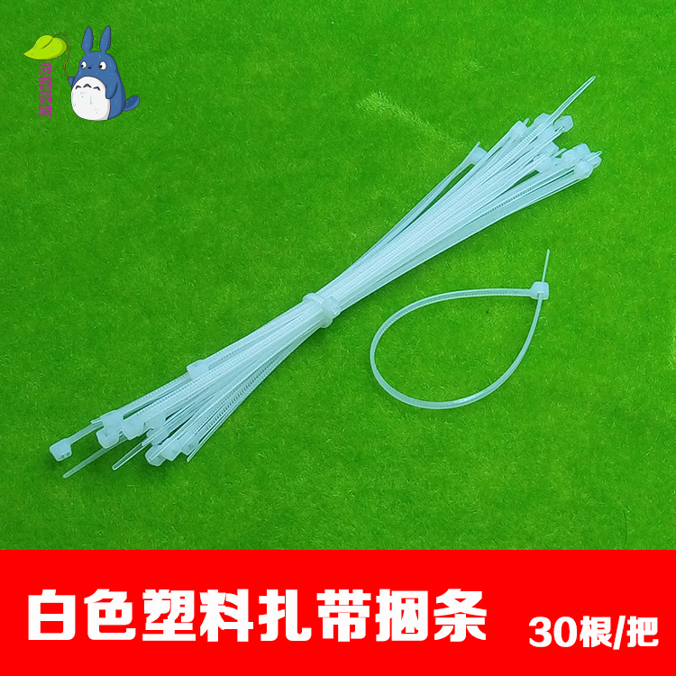 多用扎带自锁式尼龙扎带耐高温束带线多用途模型制作材料1元30根
