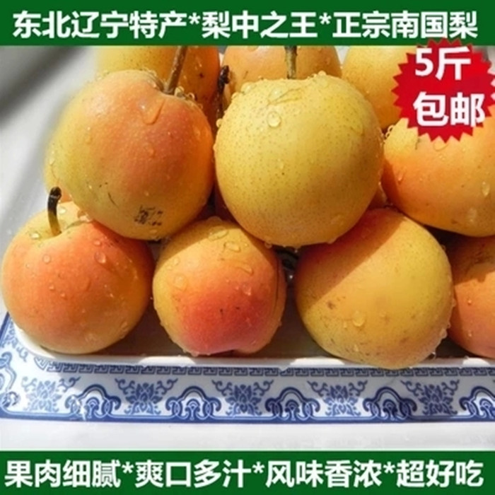 正宗鞍山南国优质大屯细皮多省梨
