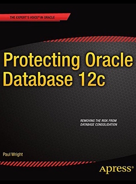 【预售】Protecting Oracle Database 12c