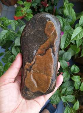 金纹石原石籽料黄龙玉江西图案信江奇石观赏石冻蜡画面石雕料摆件