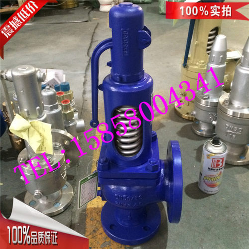 A48Y-PN25/PN16-DN65/DN100/DN150/200德标弹簧式蒸汽法兰安全阀