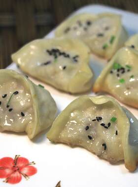阿东师傅 日式锅贴 煎饺 冷冻速食 纯手工鲜肉锅贴  蒸饺