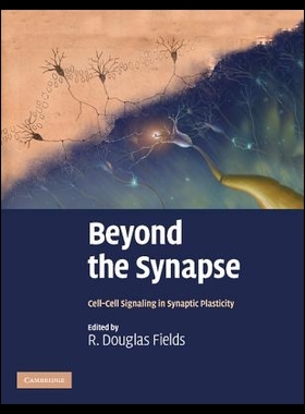 【预售】Beyond the Synapse