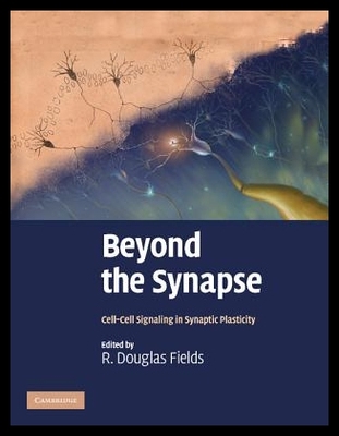 【预售】Beyond the Synapse