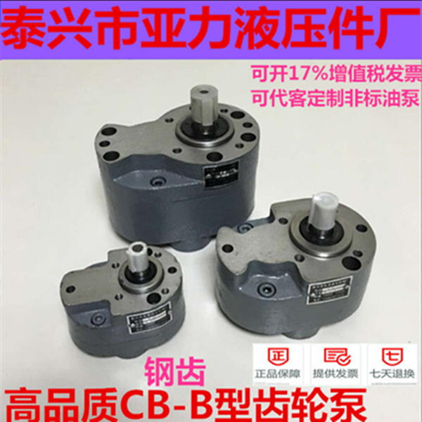 CB-B10/B4/B6F/B2.5/B16/B20/B25/B32/B50/B63/B100/B125钢齿轮泵-封面