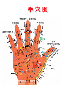 736海报印制展板写真喷绘贴纸604手穴对照图